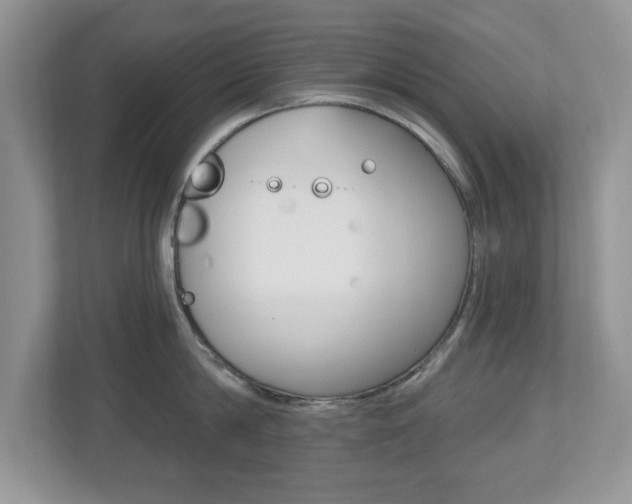 X0000112540814200908171205