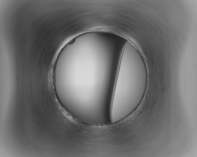 X0000112540816200908171205