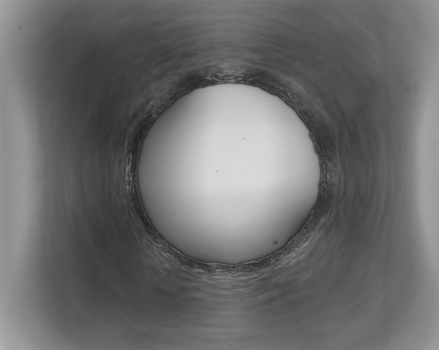 X0000112540818200908171204