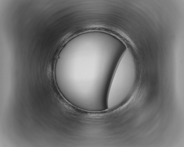 X0000112540825200908171204