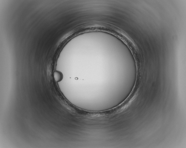 X0000112540826200908171204