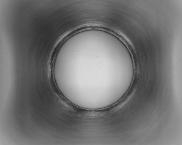 X0000112540829200908171204
