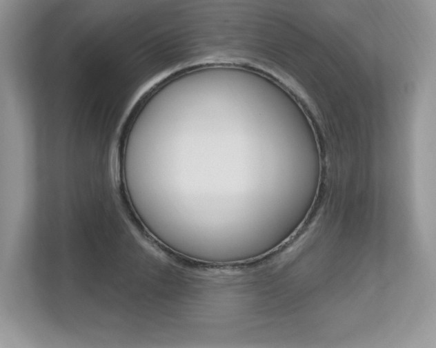X0000112540838200908171204