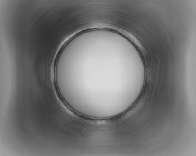 X0000112540839200908171204