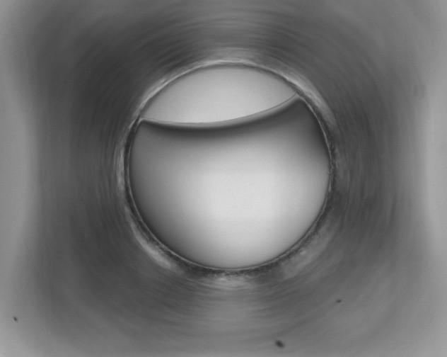 X0000112540842200908171204