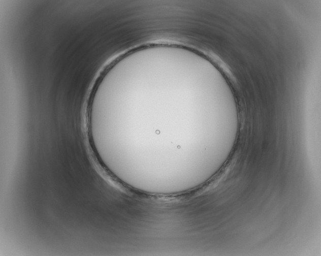 X0000112540848200908171204