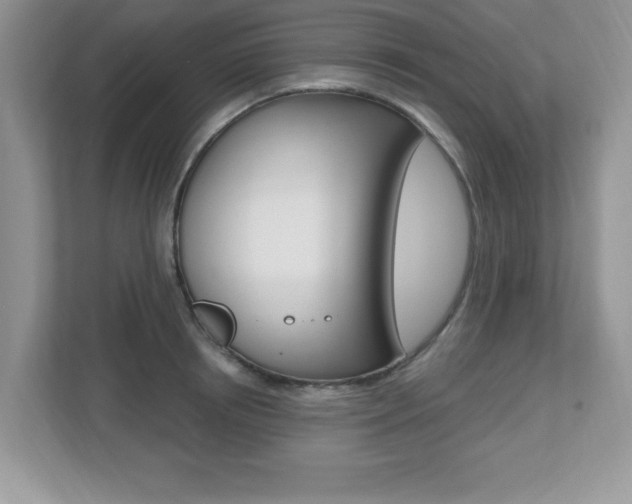 X0000112540850200908171204