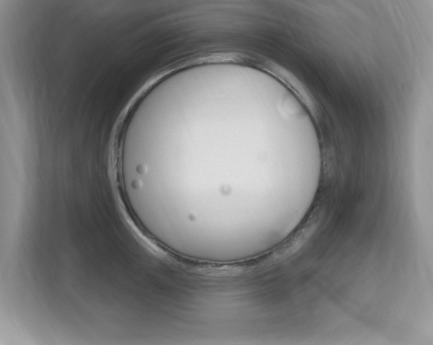 X0000112540851200908171204