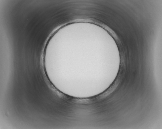 X0000112540856200908171204