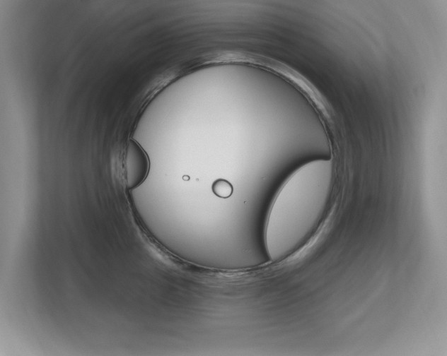 X0000112540857200908171204