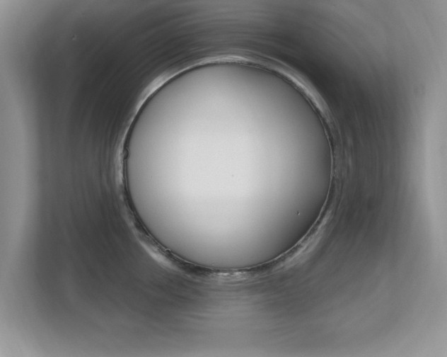 X0000112540858200908171204