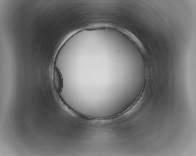 X0000112540860200908171205