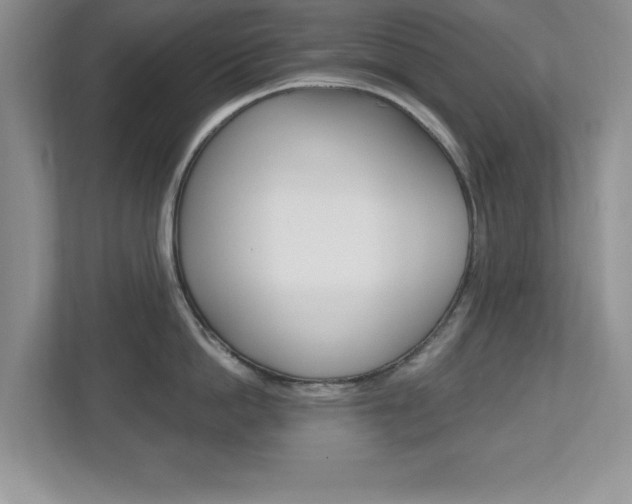 X0000112540862200908171205