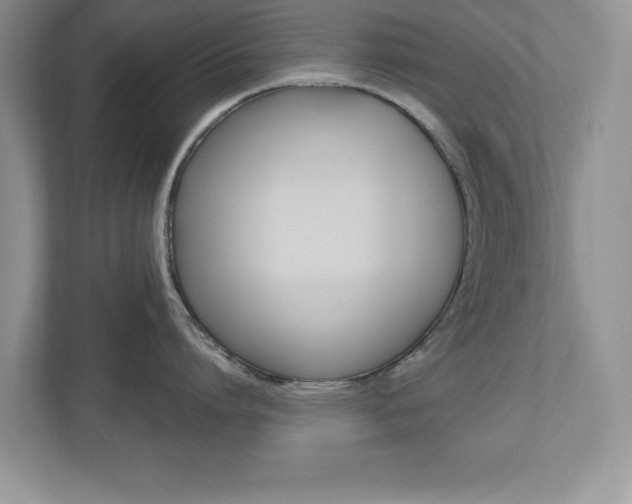 X0000112540864200908171205