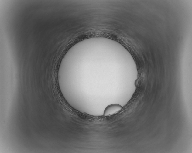 X0000112540865200908171204