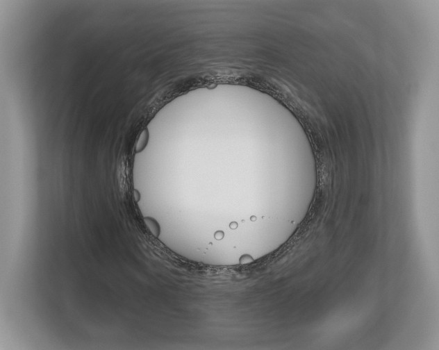 X0000112540866200908171204