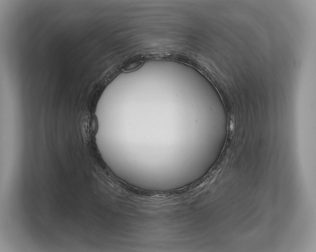 X0000112540867200908171204