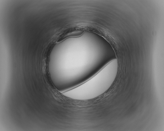 X0000112540868200908171204