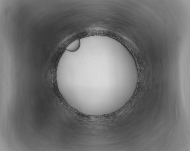 X0000112540870200908171204