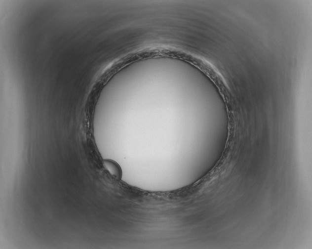X0000112540871200908171204