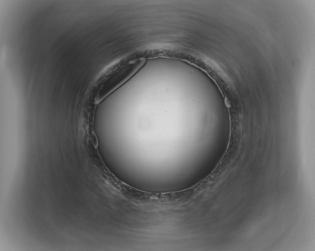 X0000112540872200908171204