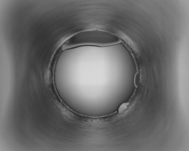 X0000112540876200908171204