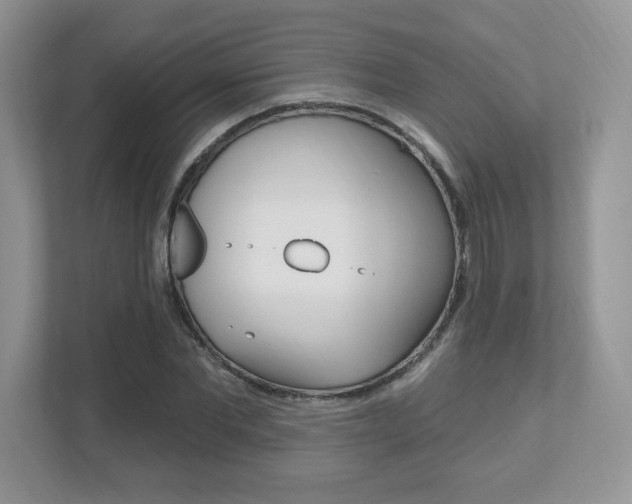 X0000112540877200908171204