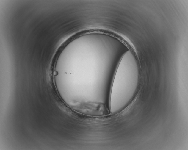 X0000112540879200908171204