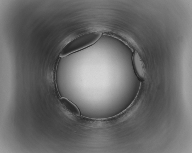 X0000112540881200908171204