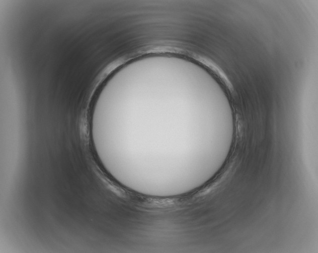X0000112540882200908171204