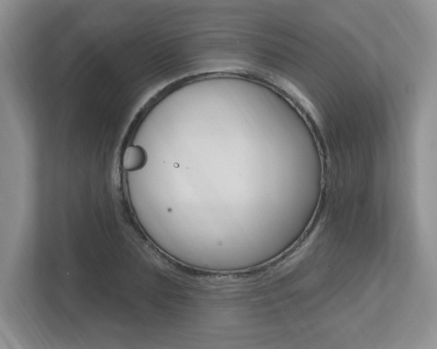 X0000112540883200908171204