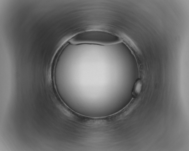 X0000112540884200908171204