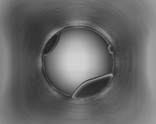 X0000112540885200908171204