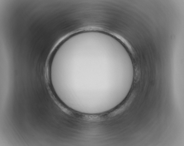 X0000112540886200908171204