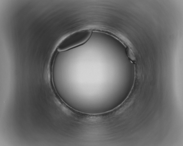 X0000112540888200908171204