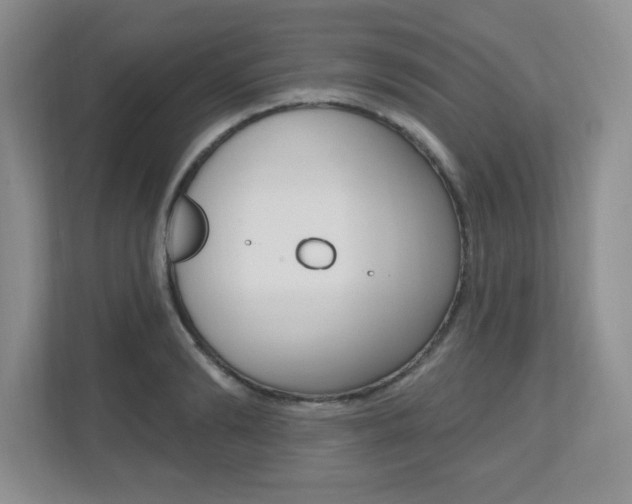 X0000112540894200908171203