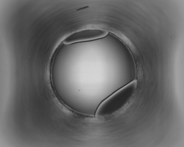 X0000112540896200908171203