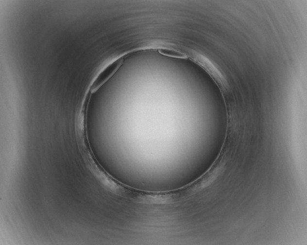 X0000112540900200908171203