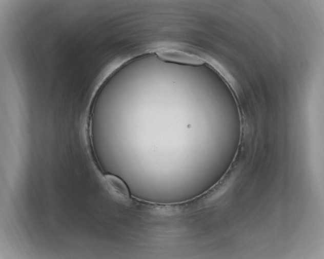 X0000112540901200908171203