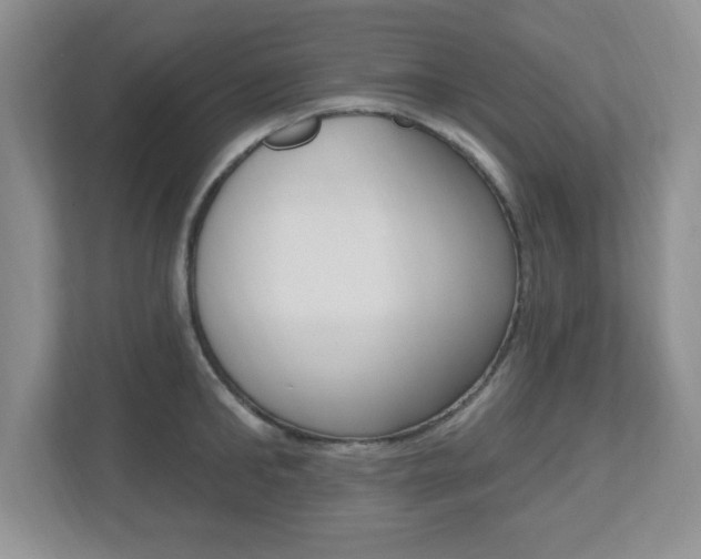 X0000112540902200908171203