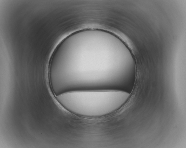 X0000112540903200908171203