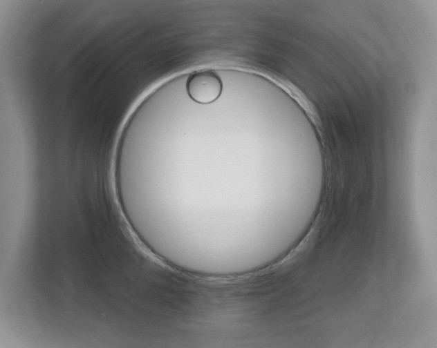 X0000112540904200908171203
