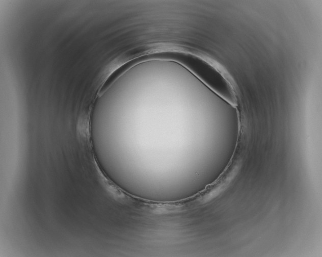 X0000112540905200908171203