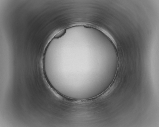 X0000112540906200908171203