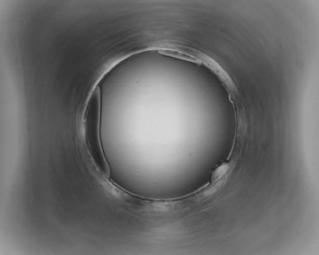 X0000112540908200908171203