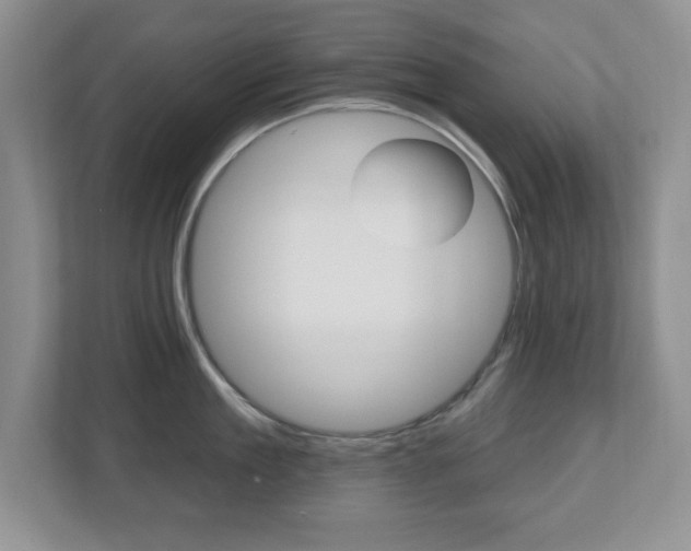 X0000112540909200908171203