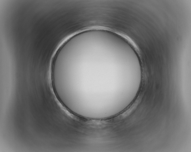 X0000112540910200908171203