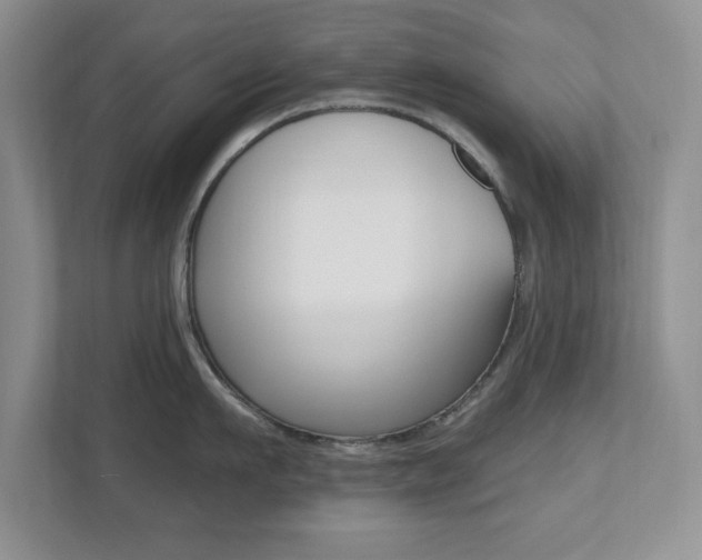 X0000112540911200908171203