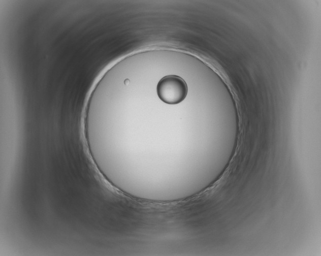 X0000112540912200908171203