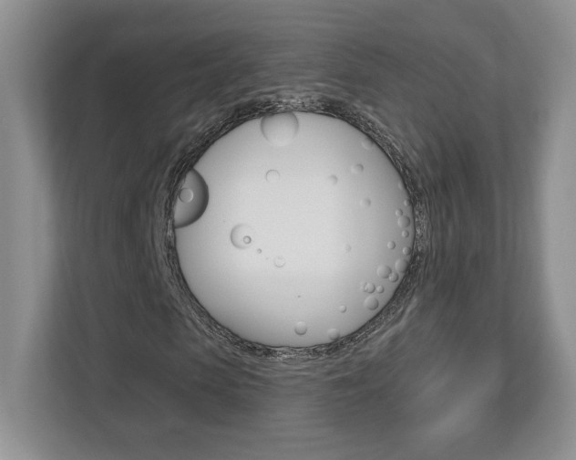X0000112540913200908171202